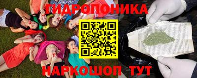 a pvp Обь