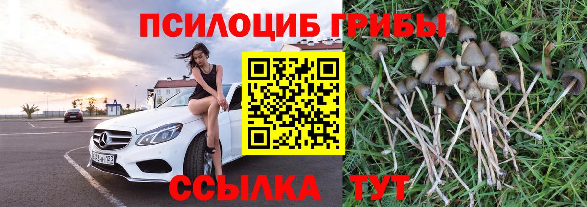 Галлюциногенные грибы Cubensis  Псилоцибиновые грибы мицелий  Вход с VPN  Троицк 