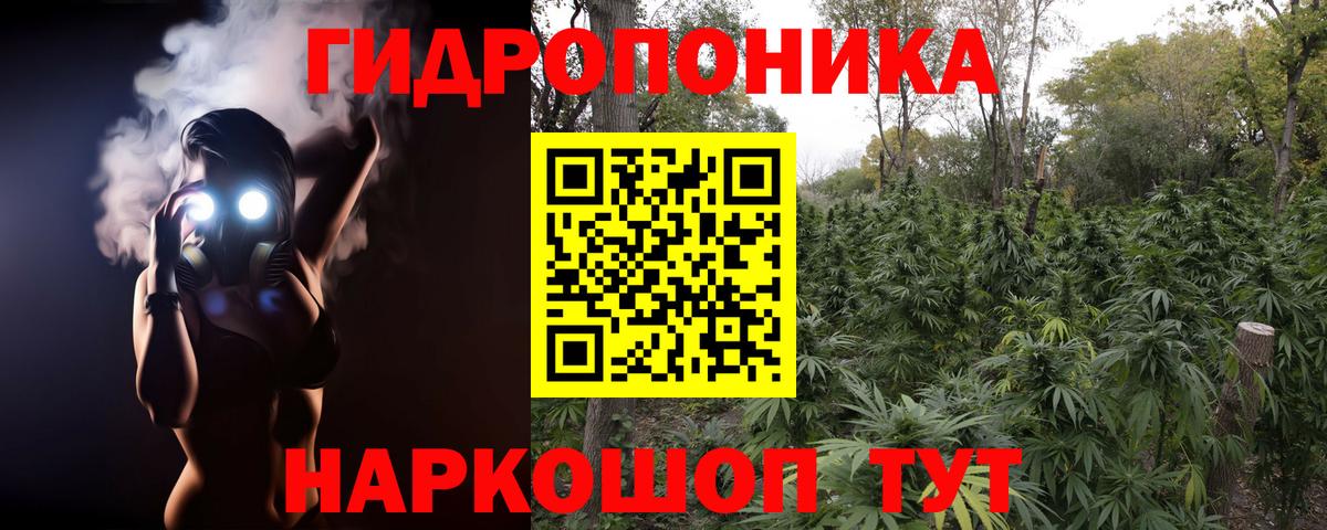 Канабис OG Kush  Вход с VPN  Марихуана Bruce Banner  Троицк 