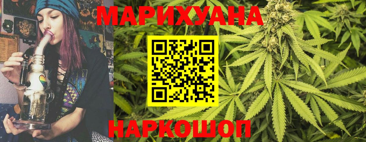 Каннабис сатива Троицк